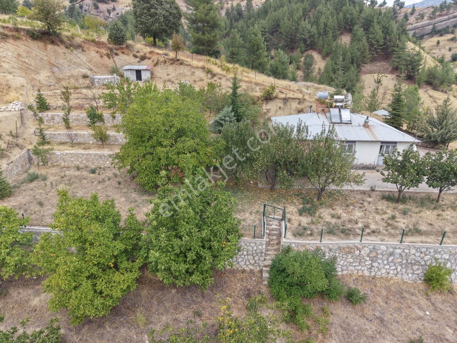 Yeni Rota'dan Tekir Alaçayır'da Ana Yol Kenarı Satılık Bağ — fotoğraf 13