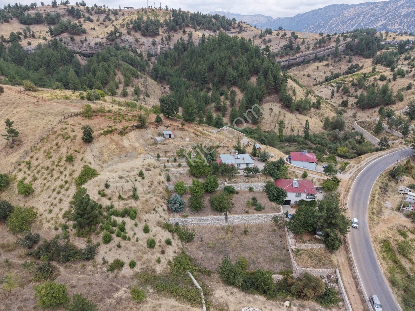 Yeni Rota'dan Tekir Alaçayır'da Ana Yol Kenarı Satılık Bağ — fotoğraf 14