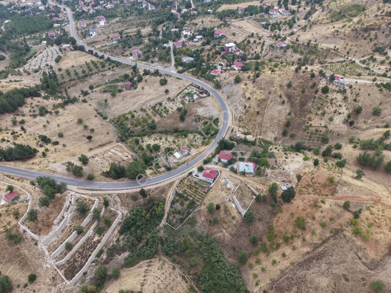 Yeni Rota'dan Tekir Alaçayır'da Ana Yol Kenarı Satılık Bağ — fotoğraf 16