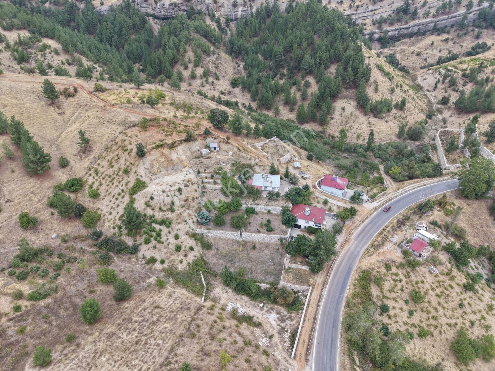 Yeni Rota'dan Tekir Alaçayır'da Ana Yol Kenarı Satılık Bağ — fotoğraf 19