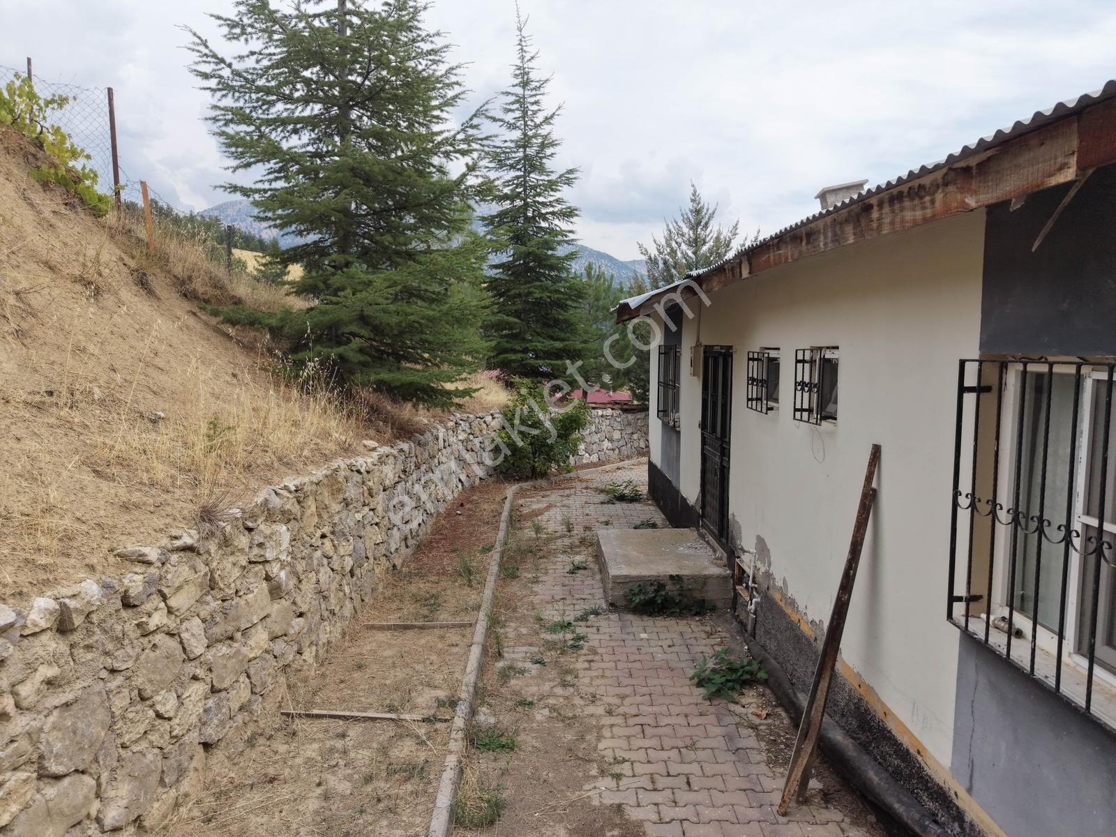 Yeni Rota'dan Tekir Alaçayır'da Ana Yol Kenarı Satılık Bağ — fotoğraf 21