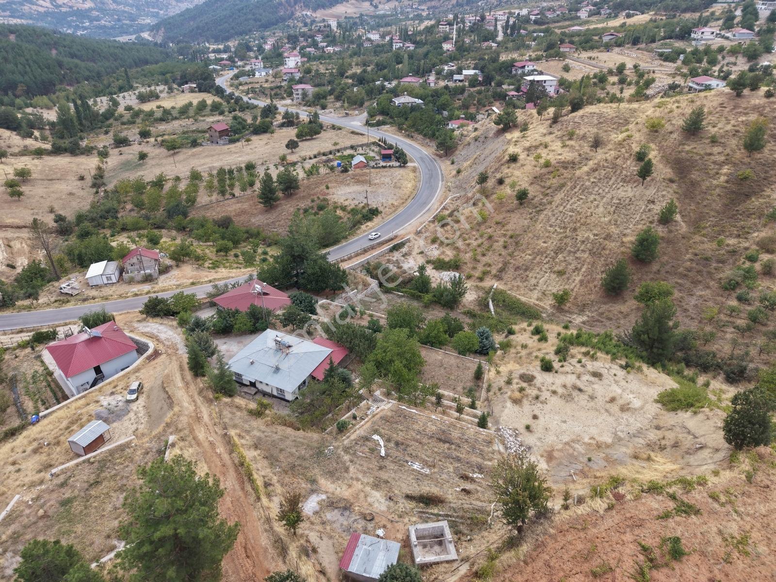 Yeni Rota'dan Tekir Alaçayır'da Ana Yol Kenarı Satılık Bağ — fotoğraf 24