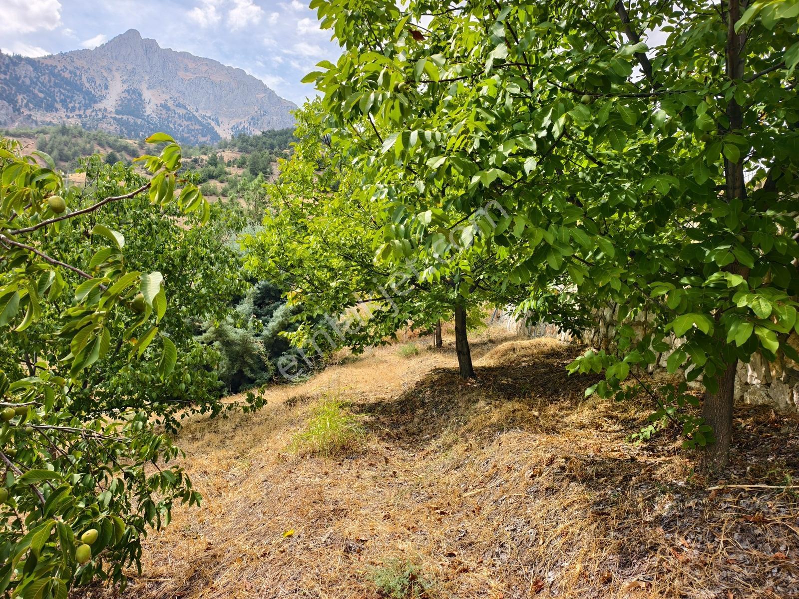Yeni Rota'dan Tekir Alaçayır'da Ana Yol Kenarı Satılık Bağ — fotoğraf 29