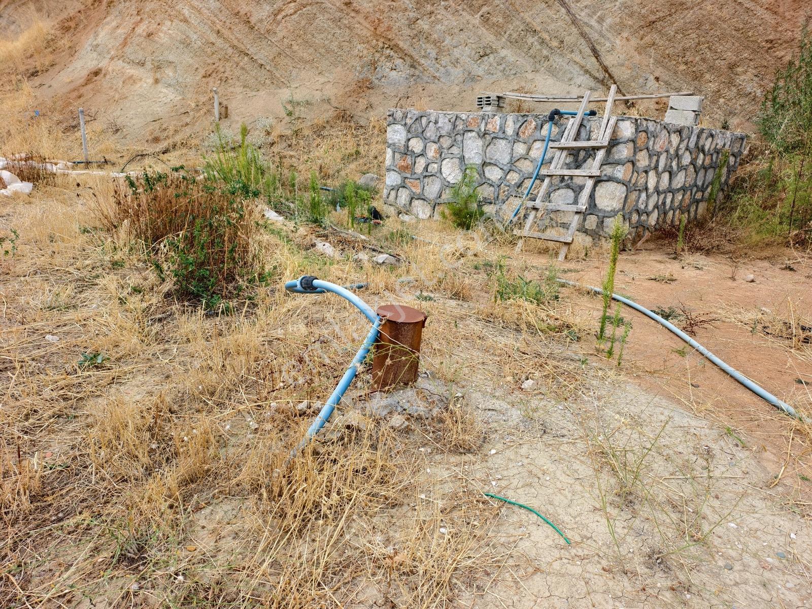 Yeni Rota'dan Tekir Alaçayır'da Ana Yol Kenarı Satılık Bağ — fotoğraf 31