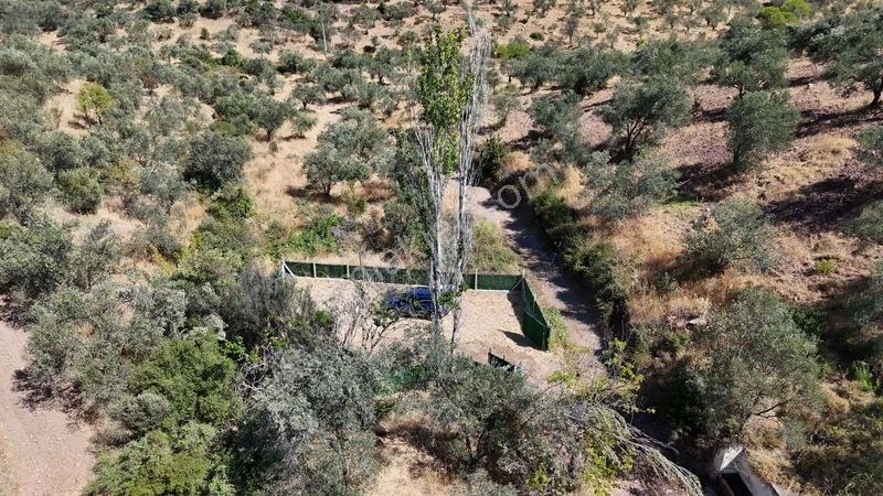 Burhaniye Pelitköy'de 257 M² Bahçe Vasıflı Hobi Bahçesi — fotoğraf 6