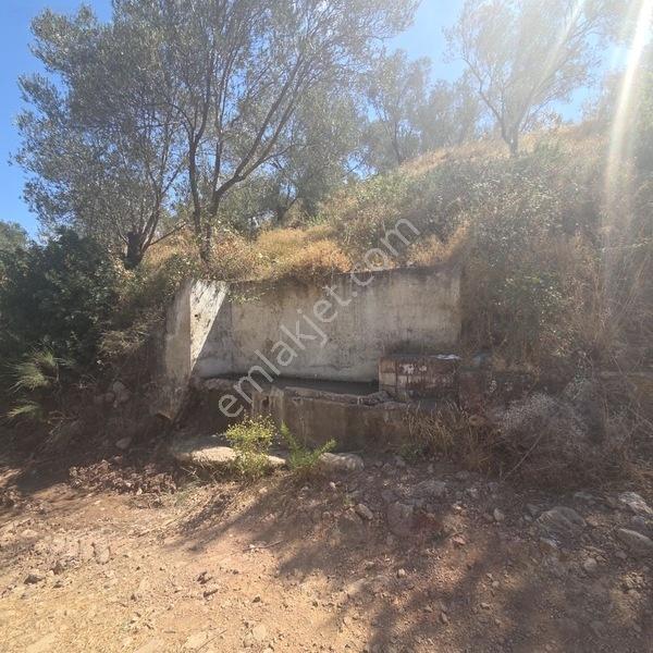 Burhaniye Pelitköy'de 257 M² Bahçe Vasıflı Hobi Bahçesi — fotoğraf 13