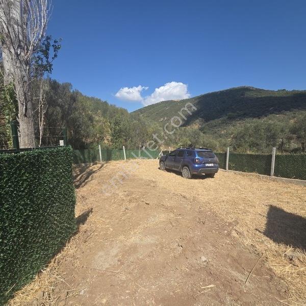 Burhaniye Pelitköy'de 257 M² Bahçe Vasıflı Hobi Bahçesi — fotoğraf 21