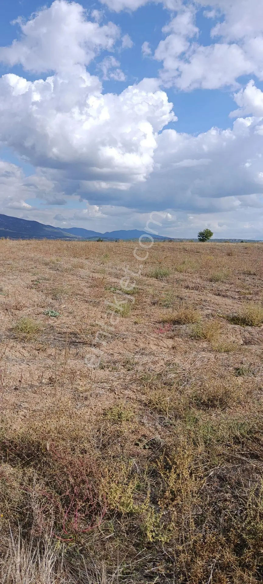 Denizli Acıpayam Dedebağı Satılık Tarla — fotoğraf 5