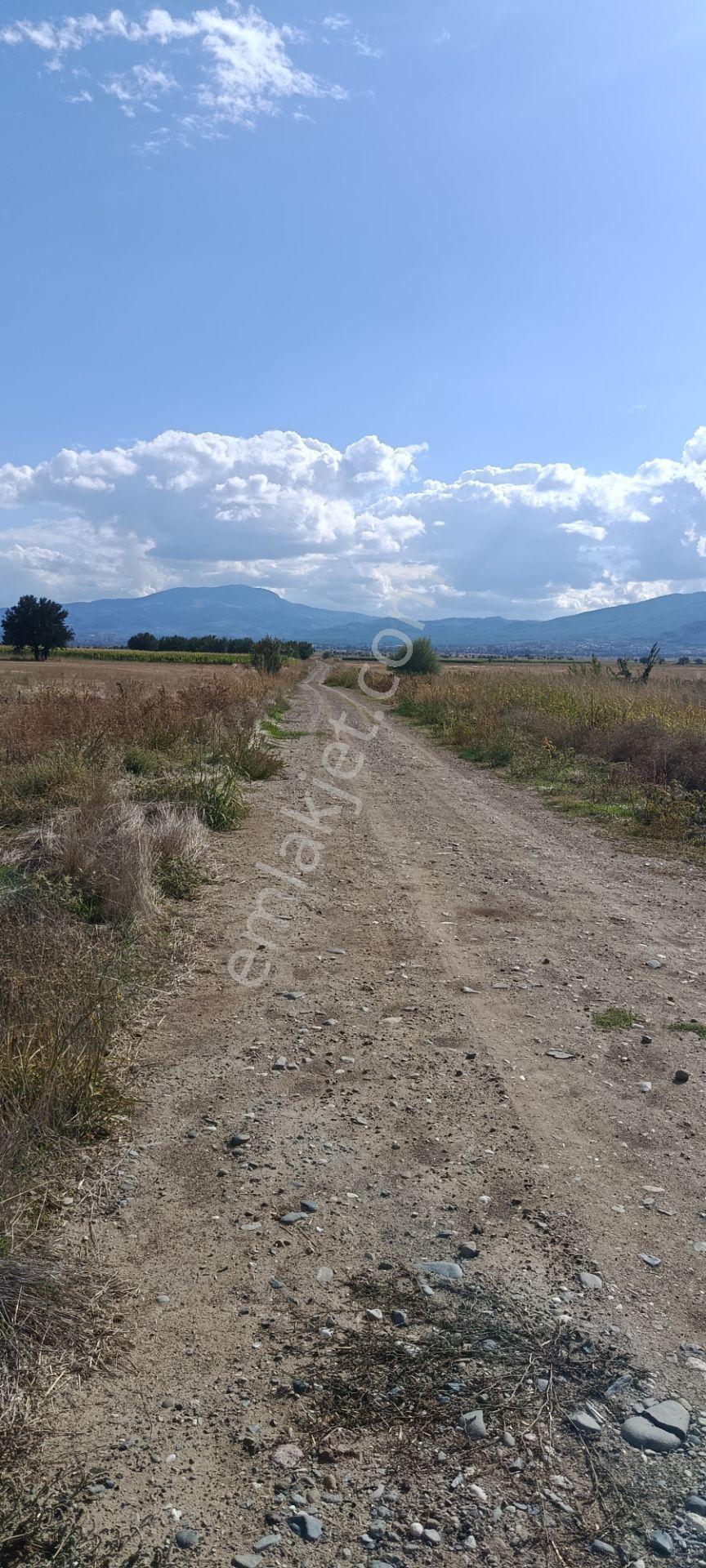 Denizli Acıpayam Dedebağı Satılık Tarla — fotoğraf 6