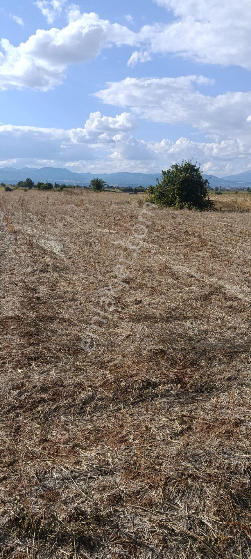 Denizli Acıpayam Dedebağı Satılık Tarla — fotoğraf 12