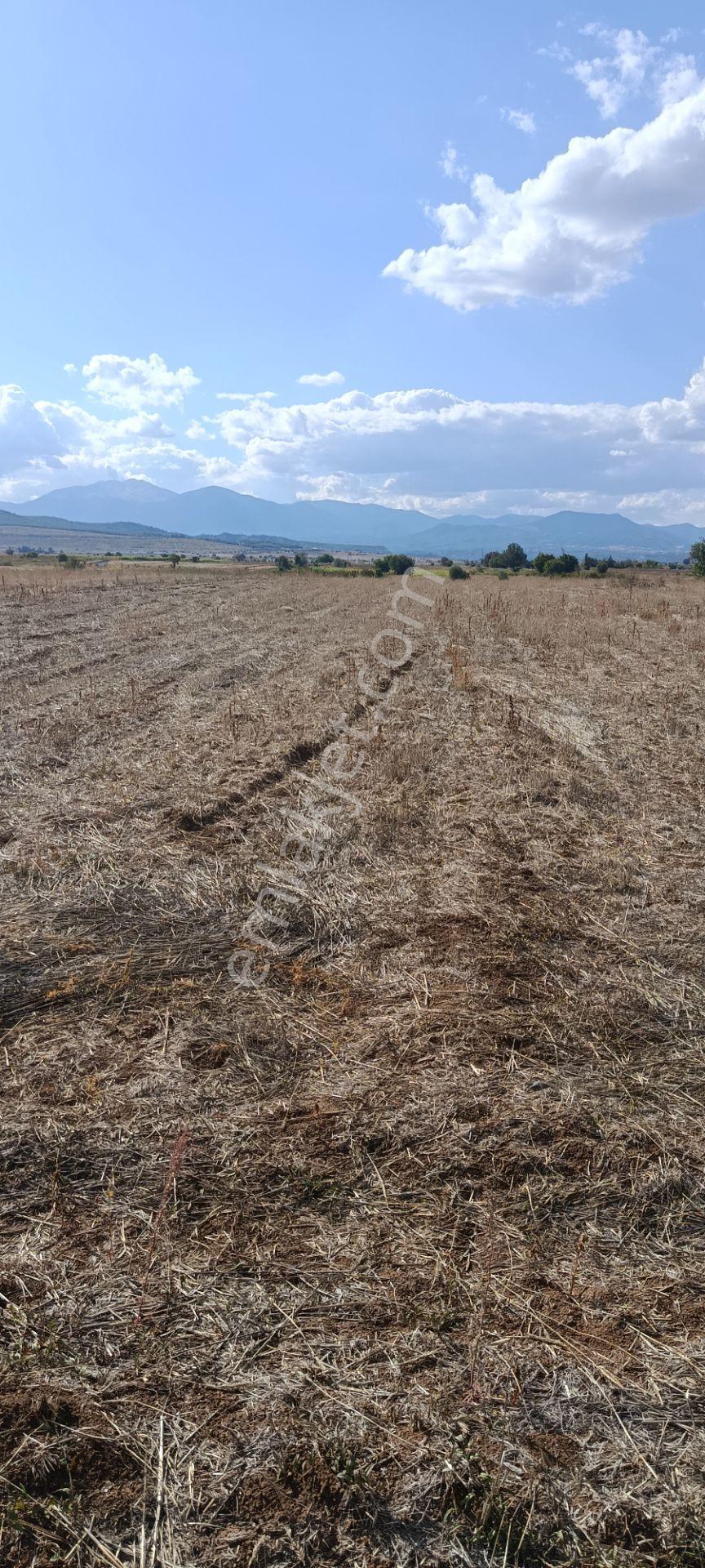 Denizli Acıpayam Dedebağı Satılık Tarla — fotoğraf 13