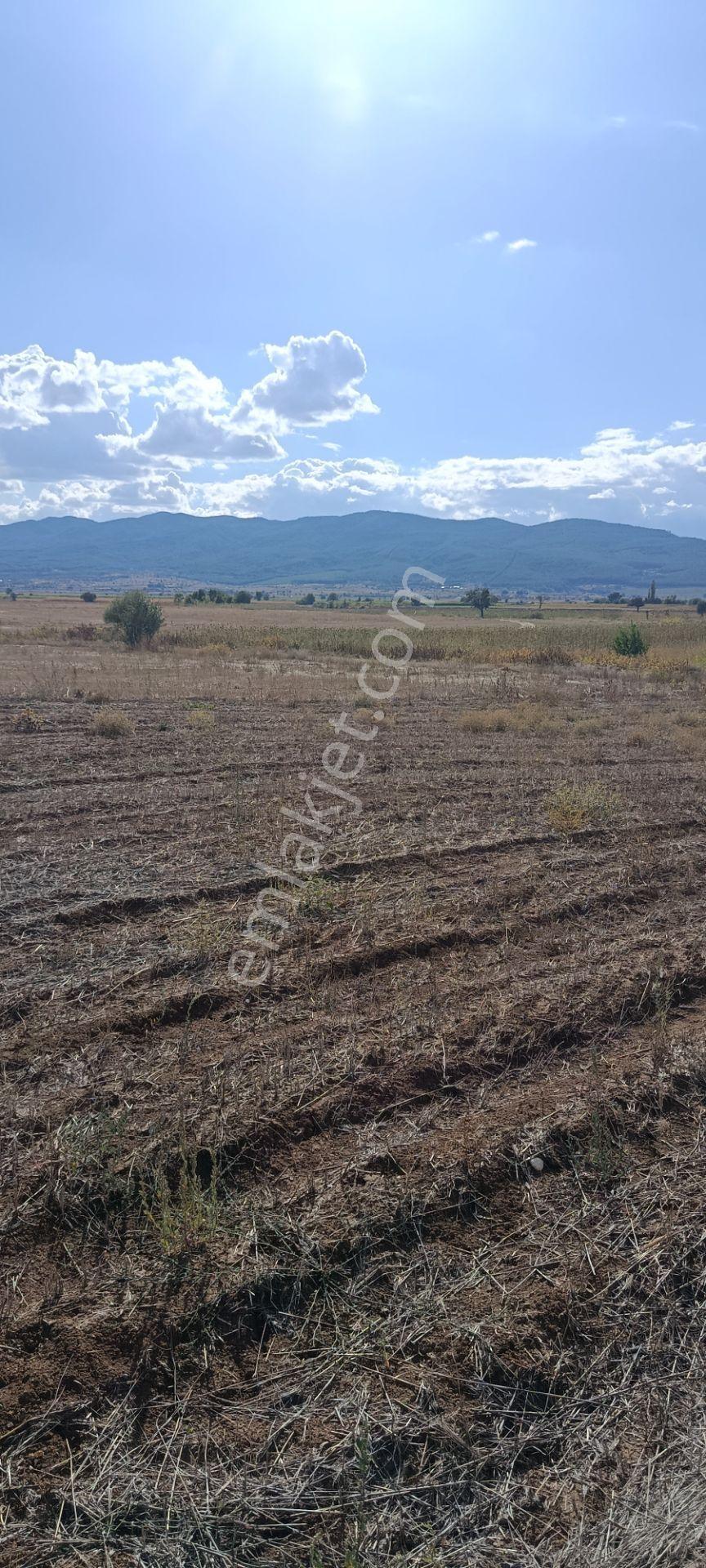 Denizli Acıpayam Dedebağı Satılık Tarla — fotoğraf 16