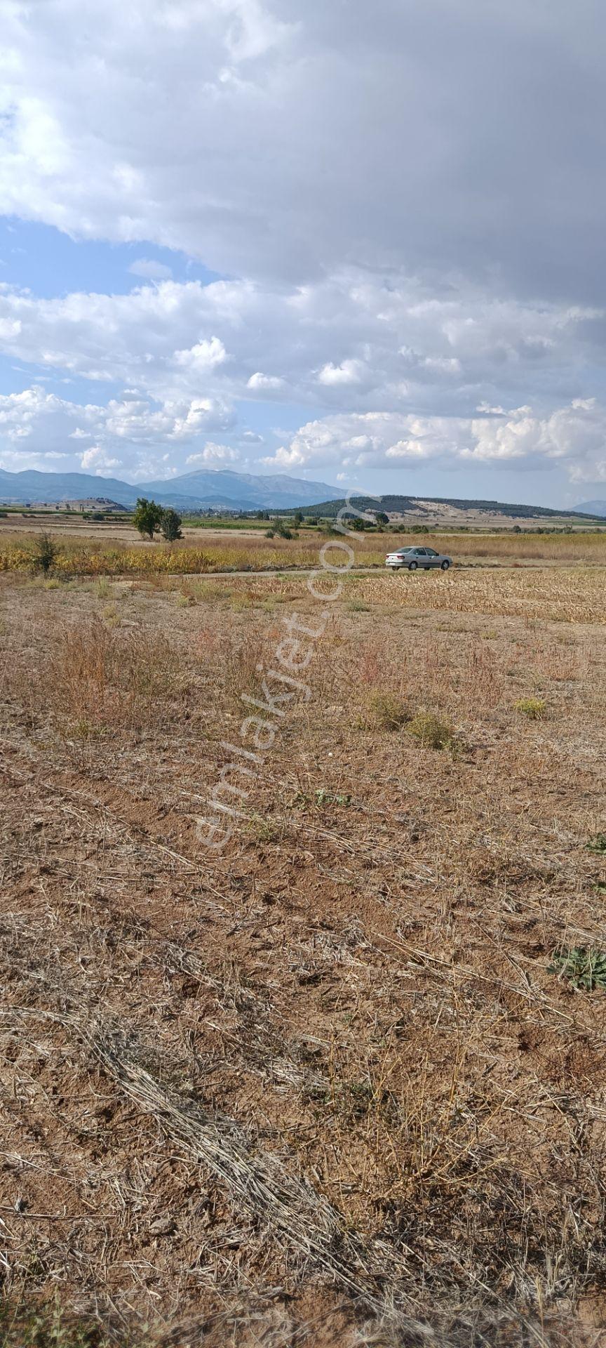 Denizli Acıpayam Dedebağı Satılık Tarla — fotoğraf 17