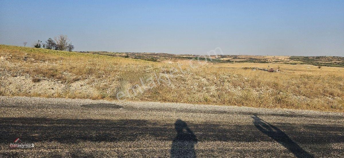 Kırklareli Merkez Kayalı'da 6.035 M2 Satılık Arazi — fotoğraf 9