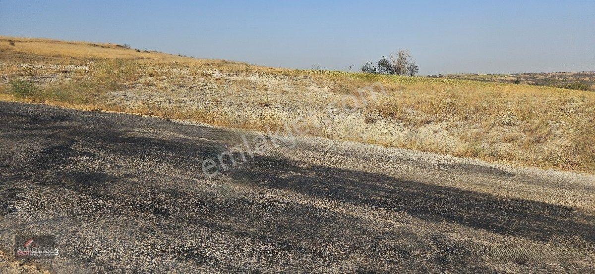 Kırklareli Merkez Kayalı'da 6.035 M2 Satılık Arazi — fotoğraf 12