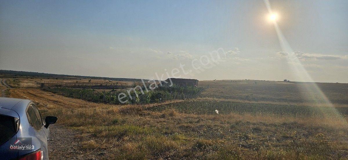 Kırklareli Merkez Kayalı'da 6.035 M2 Satılık Arazi — fotoğraf 13
