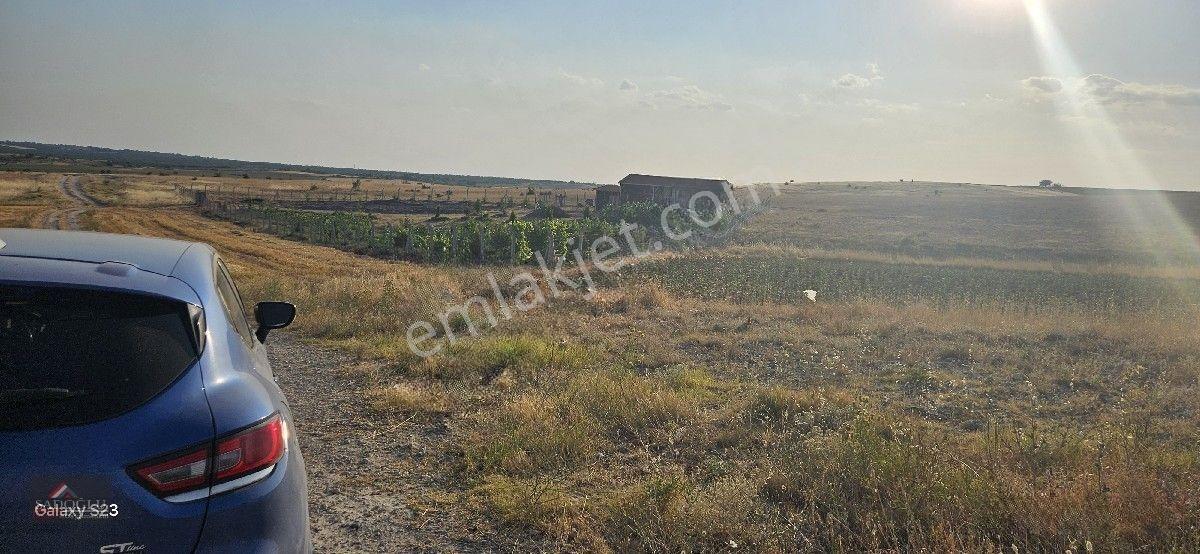 Kırklareli Merkez Kayalı'da 6.035 M2 Satılık Arazi — fotoğraf 14