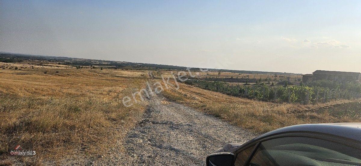 Kırklareli Merkez Kayalı'da 6.035 M2 Satılık Arazi — fotoğraf 18
