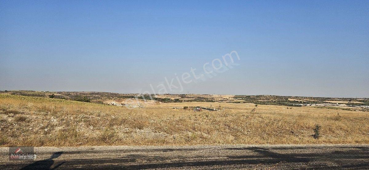 Kırklareli Merkez Kayalı'da 6.035 M2 Satılık Arazi — fotoğraf 19