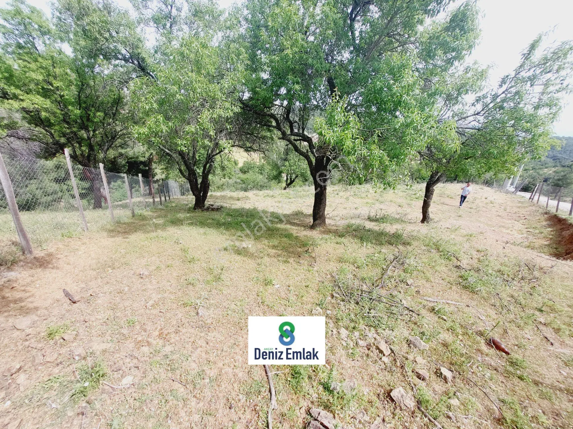 Denizden Havranda 1014 M2 Doğa İle İç İçe Satılık Yatırımlık Bahçe. — fotoğraf 3