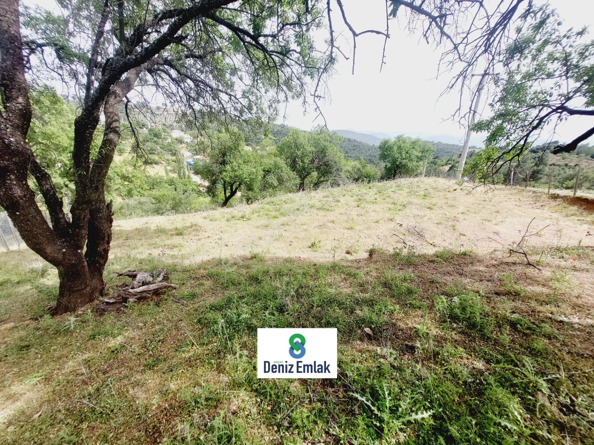 Denizden Havranda 1014 M2 Doğa İle İç İçe Satılık Yatırımlık Bahçe. — fotoğraf 5
