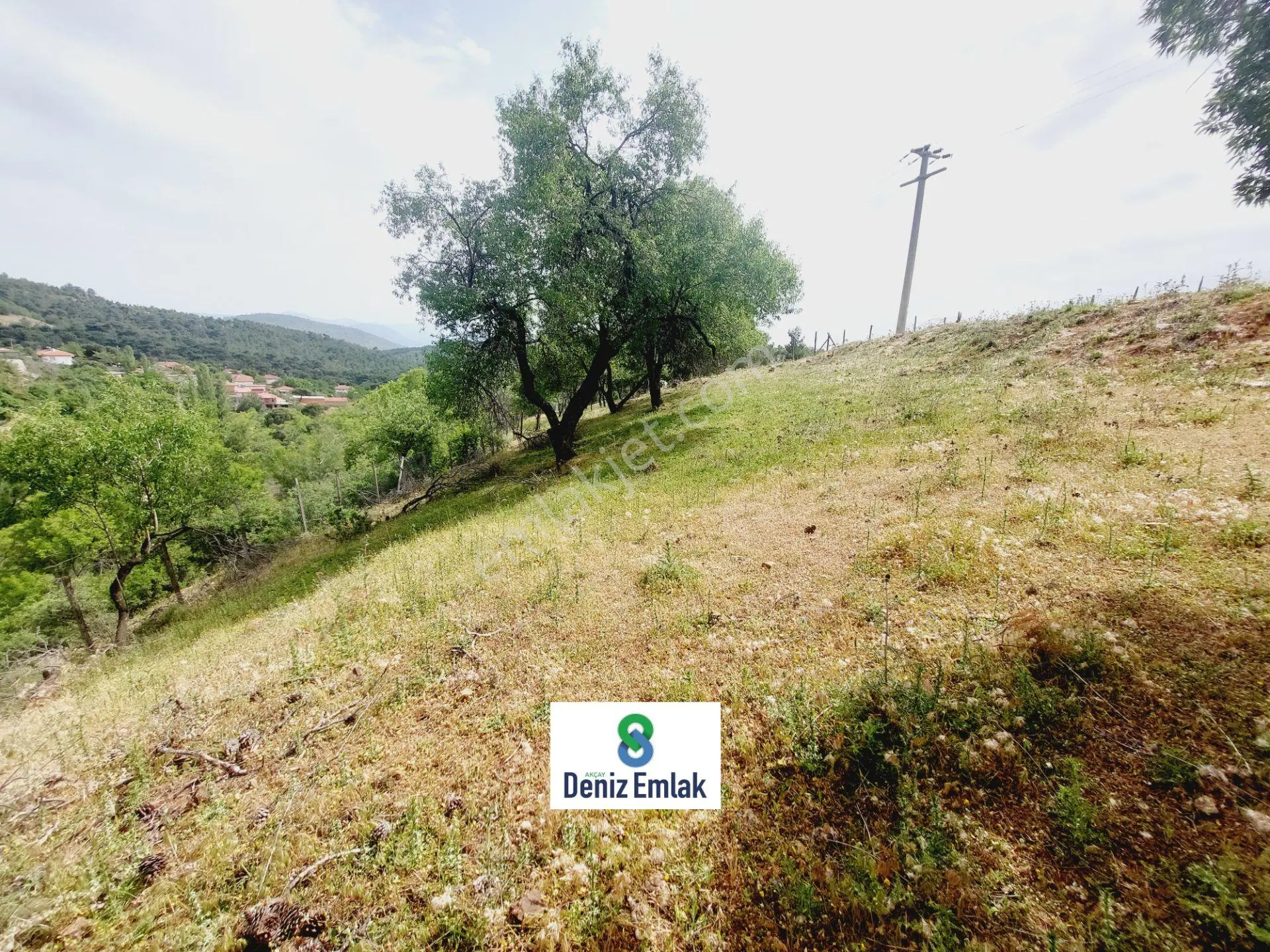 Denizden Havranda 1014 M2 Doğa İle İç İçe Satılık Yatırımlık Bahçe. — fotoğraf 7