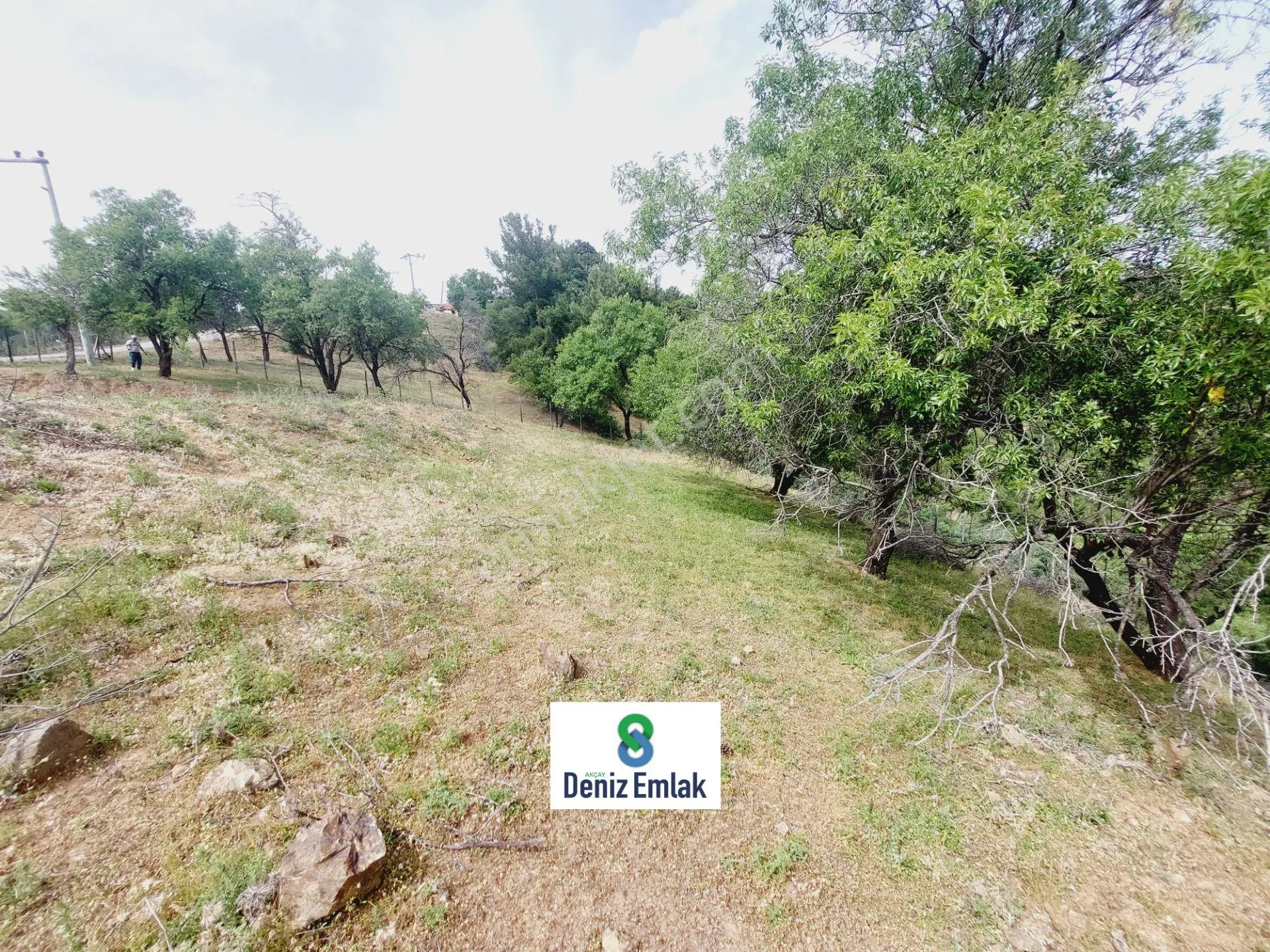 Denizden Havranda 1014 M2 Doğa İle İç İçe Satılık Yatırımlık Bahçe. — fotoğraf 10