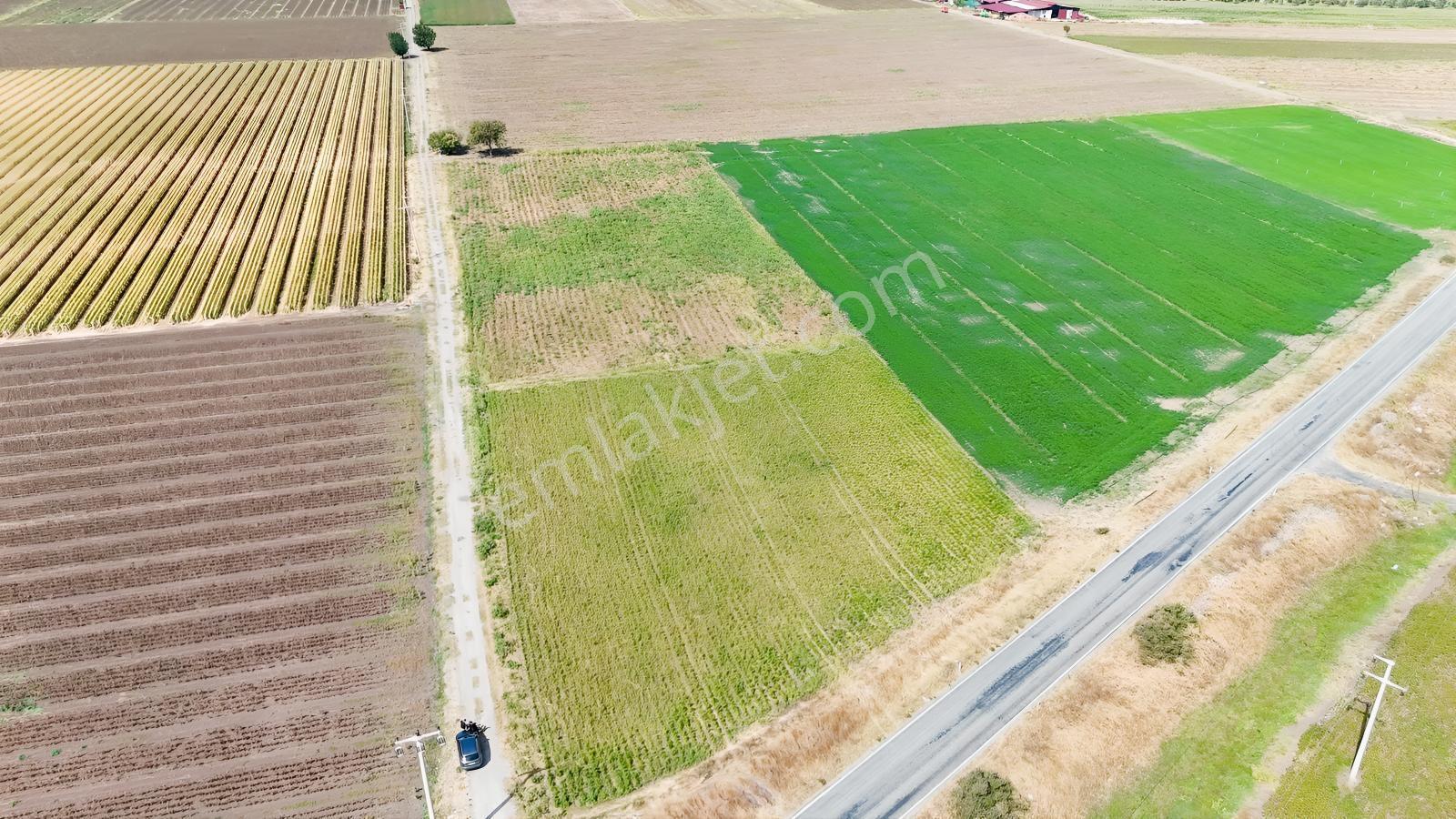 Bergama Göçbeylide Fırsat Köşe 11723 M2 Tarla Satışta