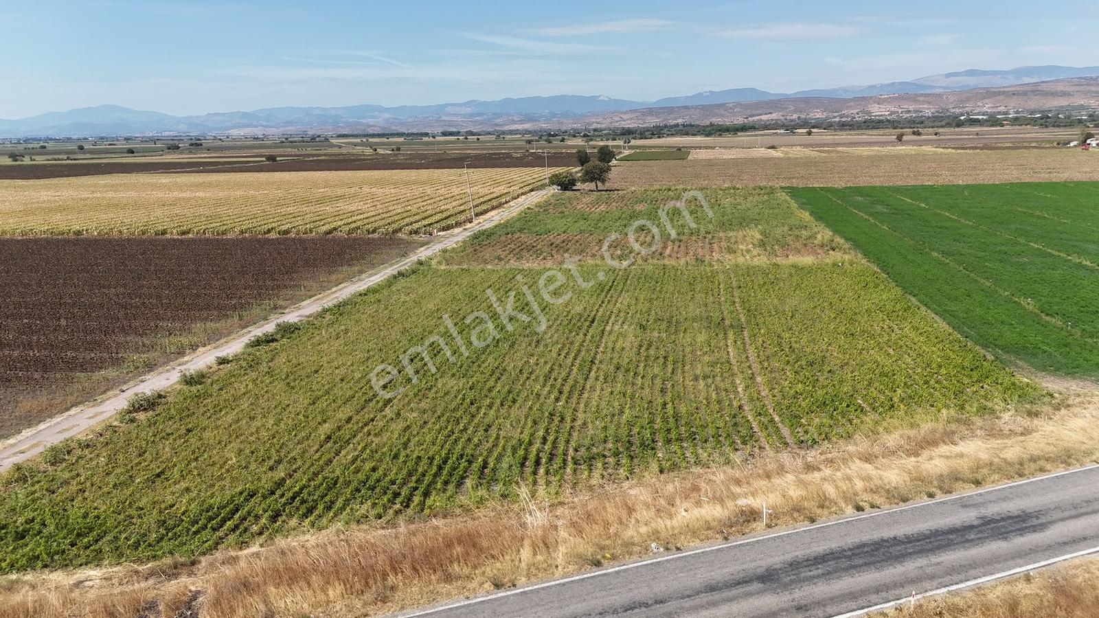 Bergama Göçbeylide Fırsat Köşe 11723 M2 Tarla Satışta — fotoğraf 2