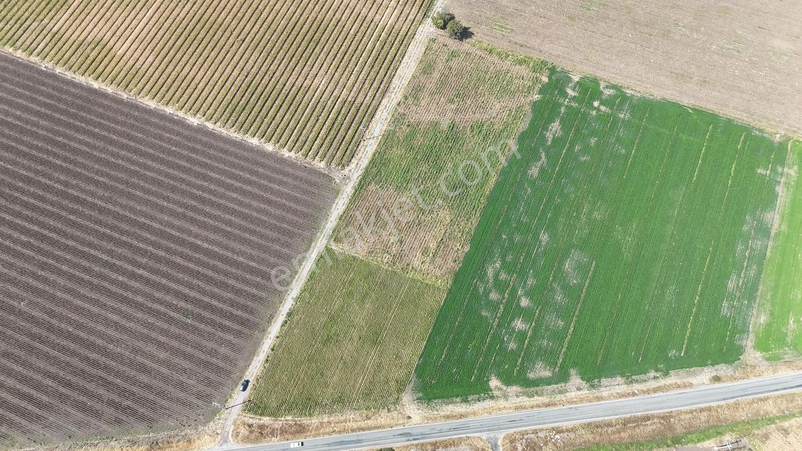 Bergama Göçbeylide Fırsat Köşe 11723 M2 Tarla Satışta — fotoğraf 3