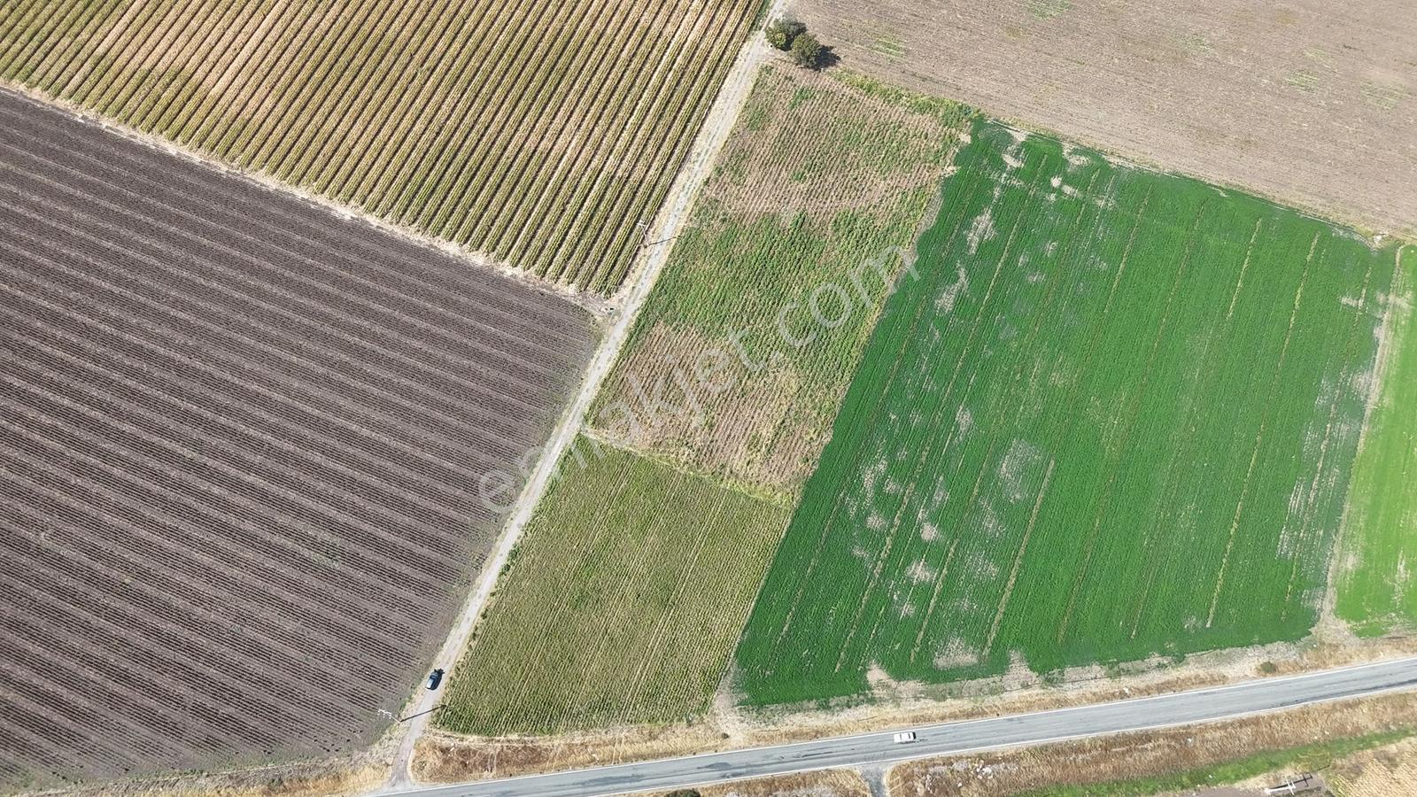 Bergama Göçbeylide Fırsat Köşe 11723 M2 Tarla Satışta — fotoğraf 5