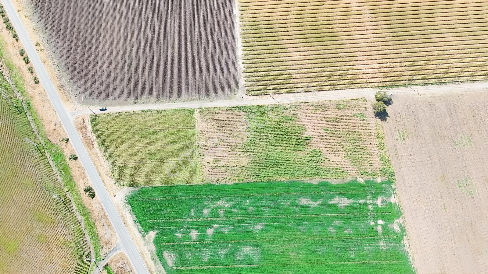 Bergama Göçbeylide Fırsat Köşe 11723 M2 Tarla Satışta — fotoğraf 6