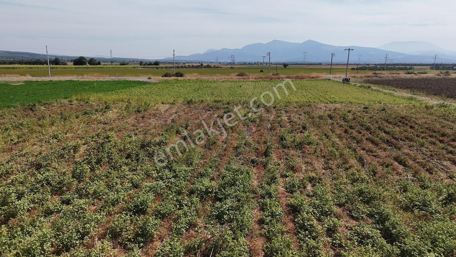 Bergama Göçbeylide Fırsat Köşe 11723 M2 Tarla Satışta — fotoğraf 8