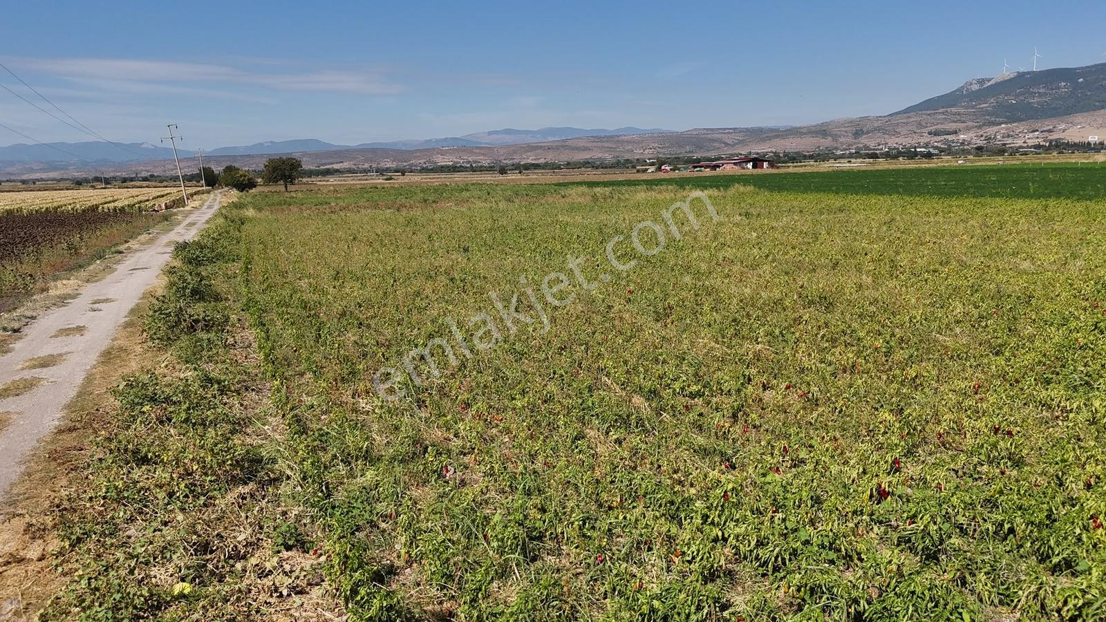 Bergama Göçbeylide Fırsat Köşe 11723 M2 Tarla Satışta — fotoğraf 13