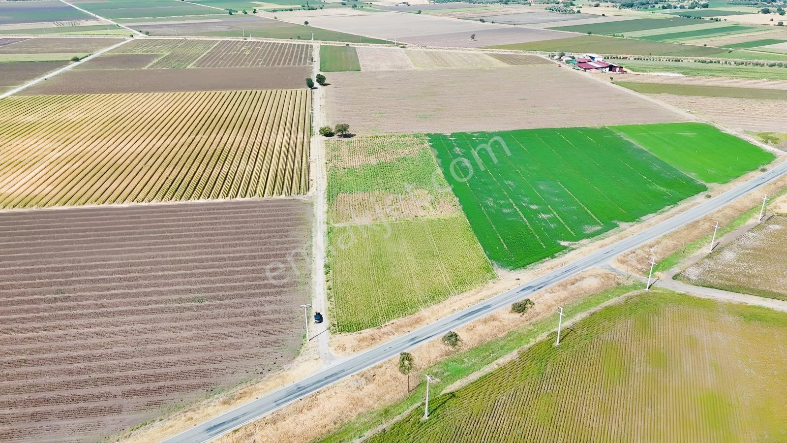 Bergama Göçbeylide Fırsat Köşe 11723 M2 Tarla Satışta — fotoğraf 21