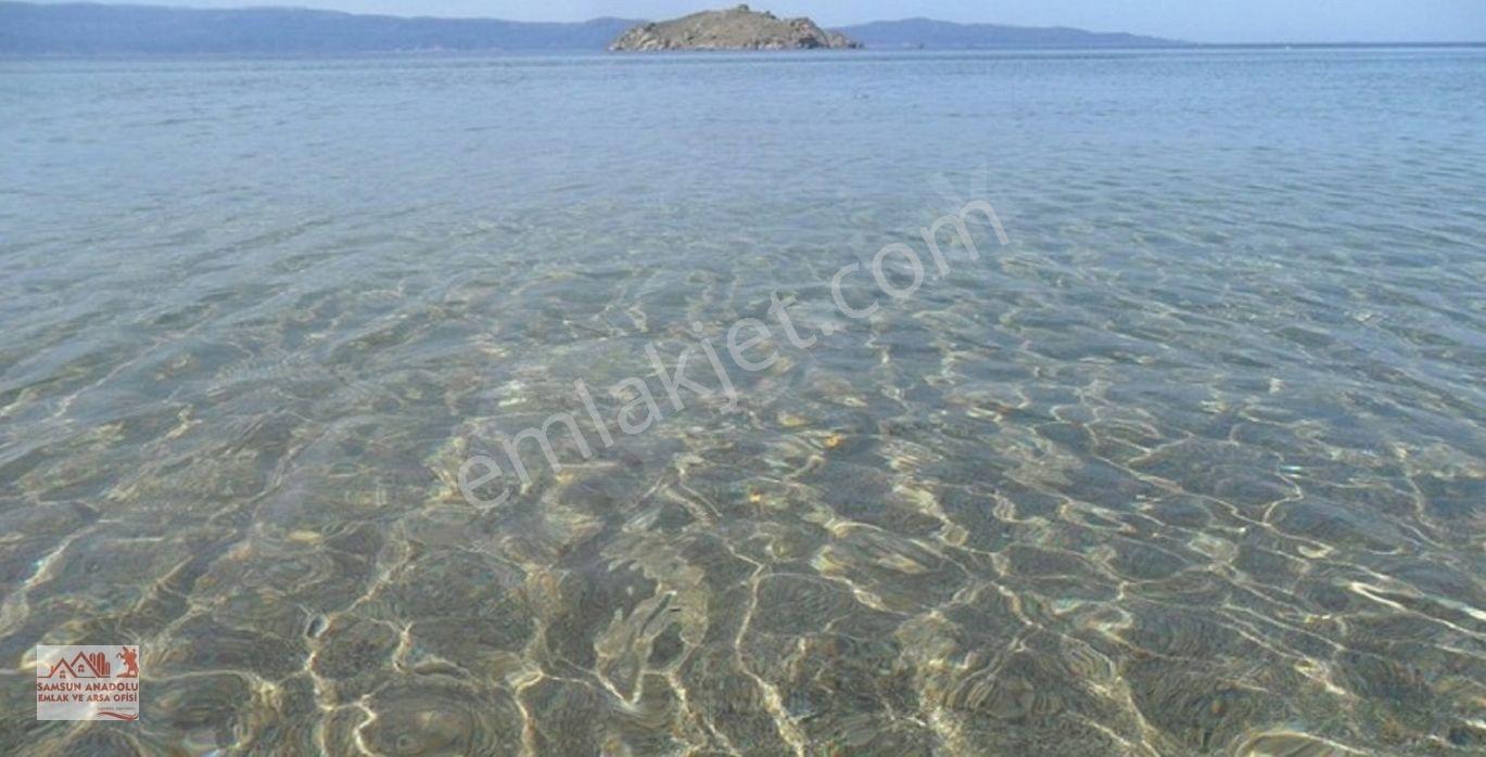 Paşalimanı Adası Turizm Alanında Yatırım Fırsatı — fotoğraf 8