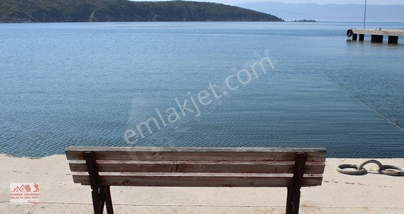 Paşalimanı Adası Turizm Alanında Yatırım Fırsatı — fotoğraf 9
