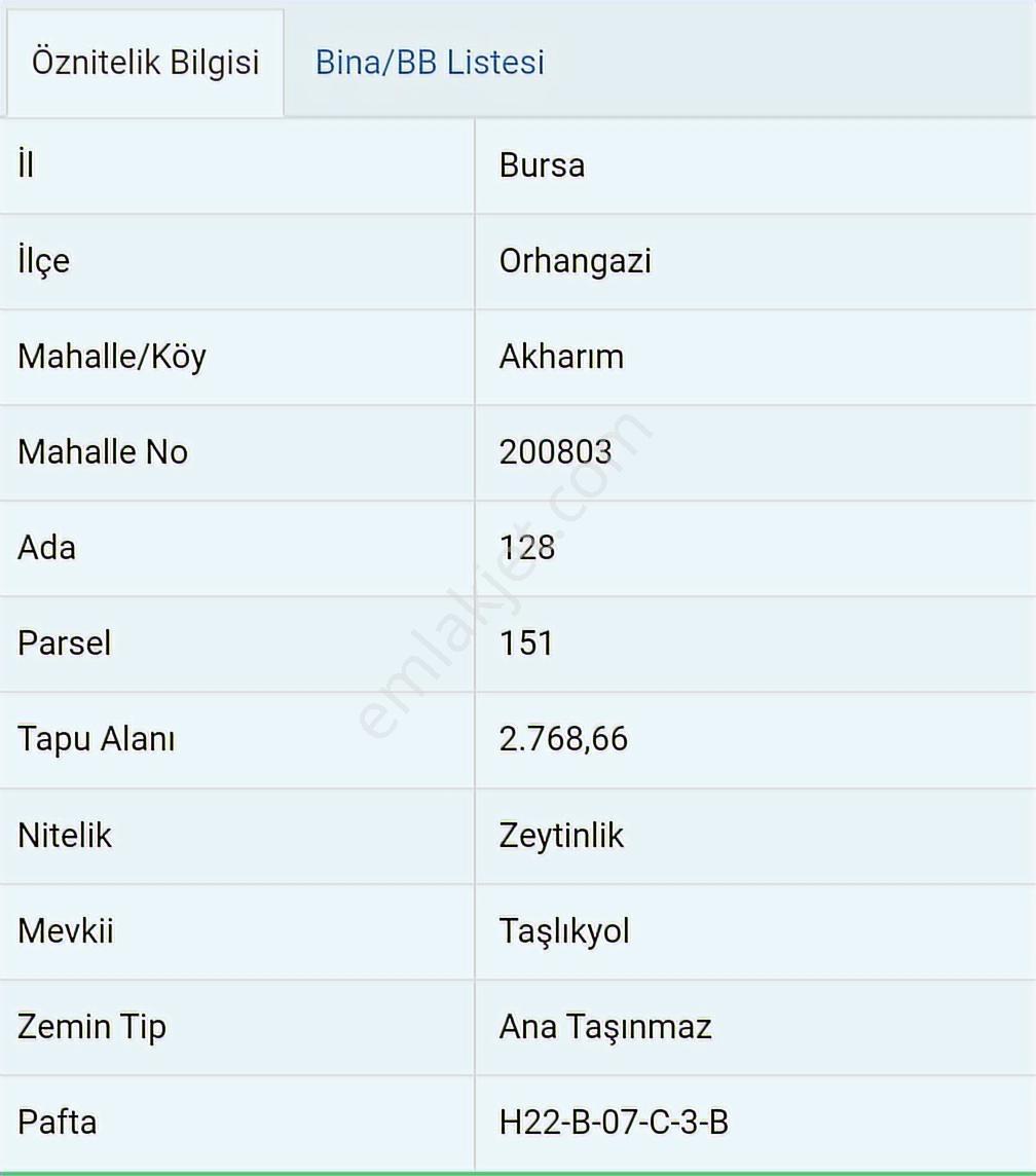 Orhangazi Akharım'da 2768 Metrekare Zeytinlik — fotoğraf 4