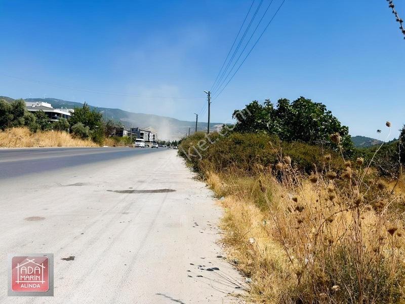Ağaçlı Yolunda 40 Dairelik Proje Fırsatı | 9.500 M² İmarlı Arsa — fotoğraf 3
