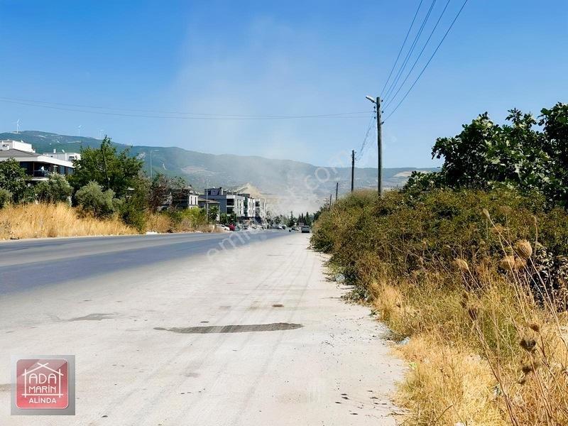 Ağaçlı Yolunda 40 Dairelik Proje Fırsatı | 9.500 M² İmarlı Arsa — fotoğraf 4