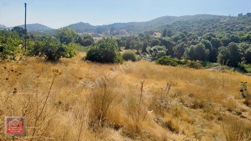Ağaçlı Yolunda 40 Dairelik Proje Fırsatı | 9.500 M² İmarlı Arsa — fotoğraf 5