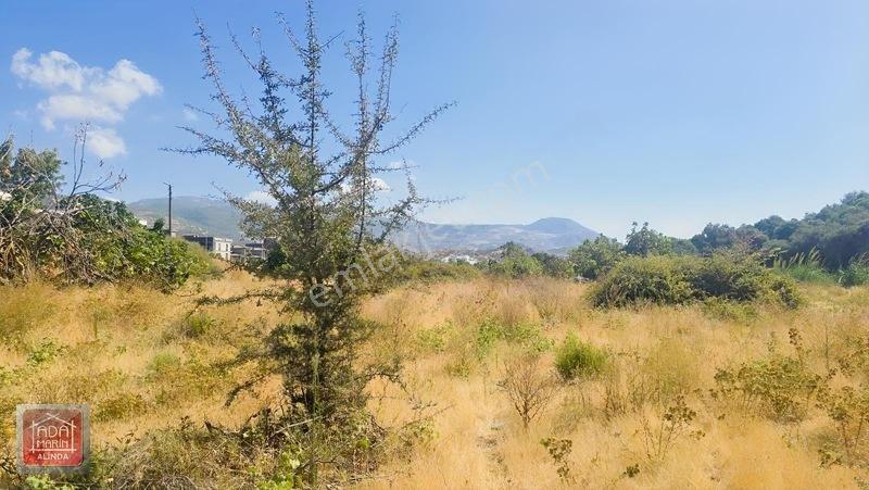 Ağaçlı Yolunda 40 Dairelik Proje Fırsatı | 9.500 M² İmarlı Arsa — fotoğraf 7