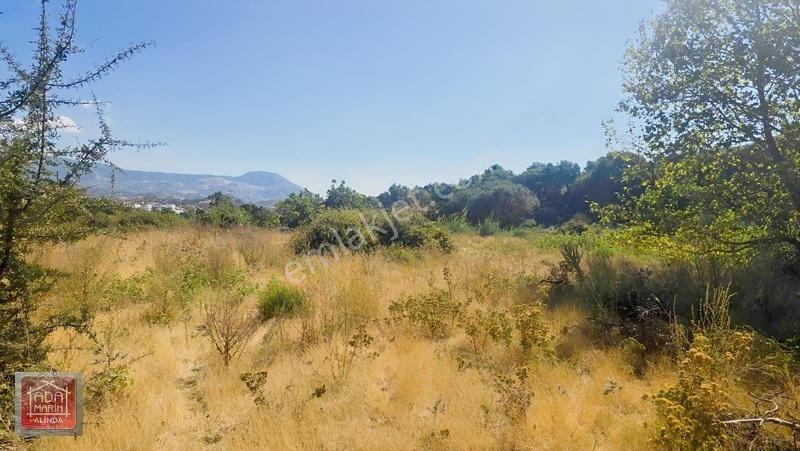Ağaçlı Yolunda 40 Dairelik Proje Fırsatı | 9.500 M² İmarlı Arsa — fotoğraf 8