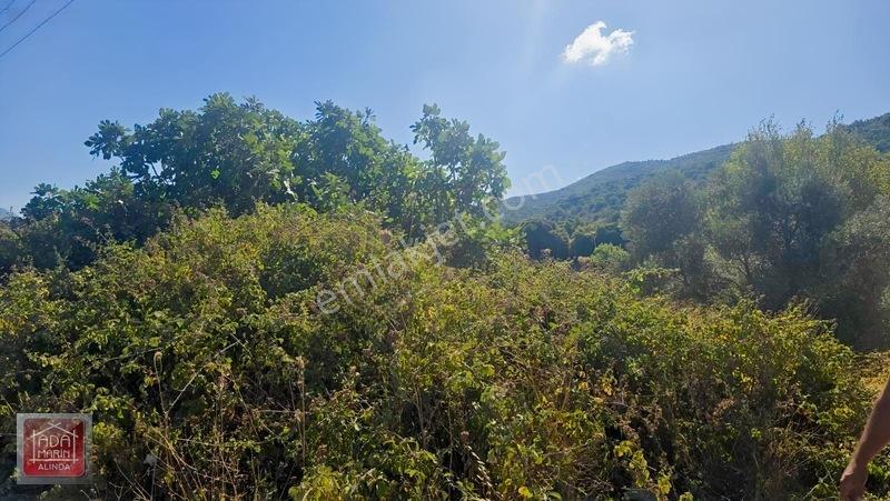 Ağaçlı Yolunda 40 Dairelik Proje Fırsatı | 9.500 M² İmarlı Arsa — fotoğraf 9