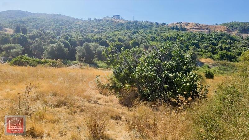 Ağaçlı Yolunda 40 Dairelik Proje Fırsatı | 9.500 M² İmarlı Arsa — fotoğraf 11