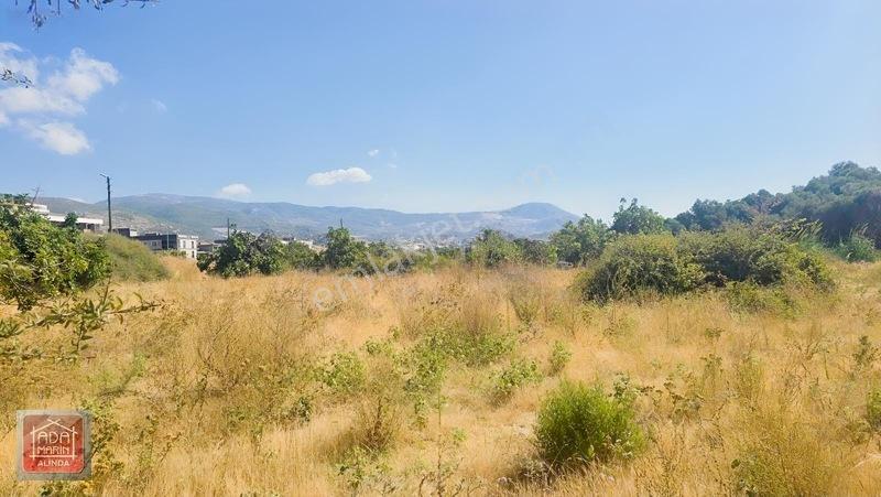 Ağaçlı Yolunda 40 Dairelik Proje Fırsatı | 9.500 M² İmarlı Arsa — fotoğraf 13
