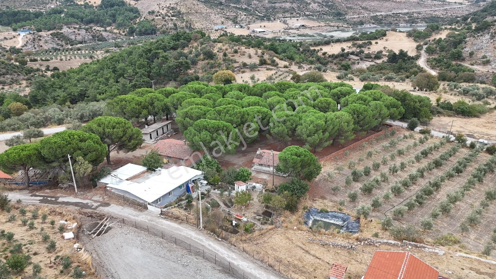 Bergama Kaleardı Köyünde Yatırımlık Satılık Arsa — fotoğraf 19
