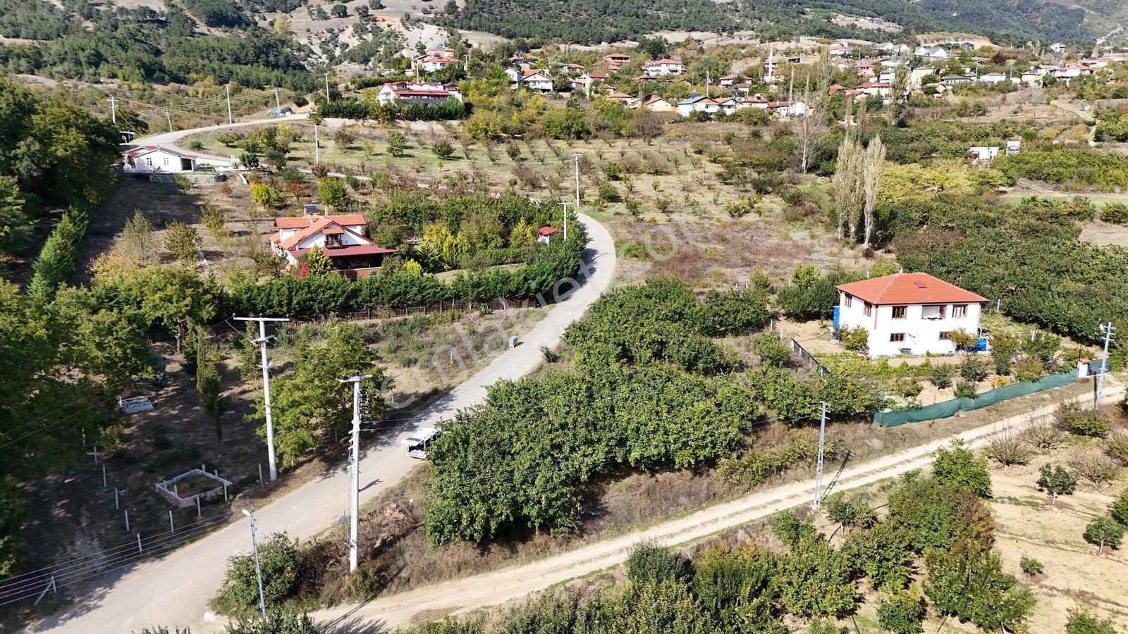 Geyve Çine Mahallesinde Asfalt Kenarı Fırsat — fotoğraf 2