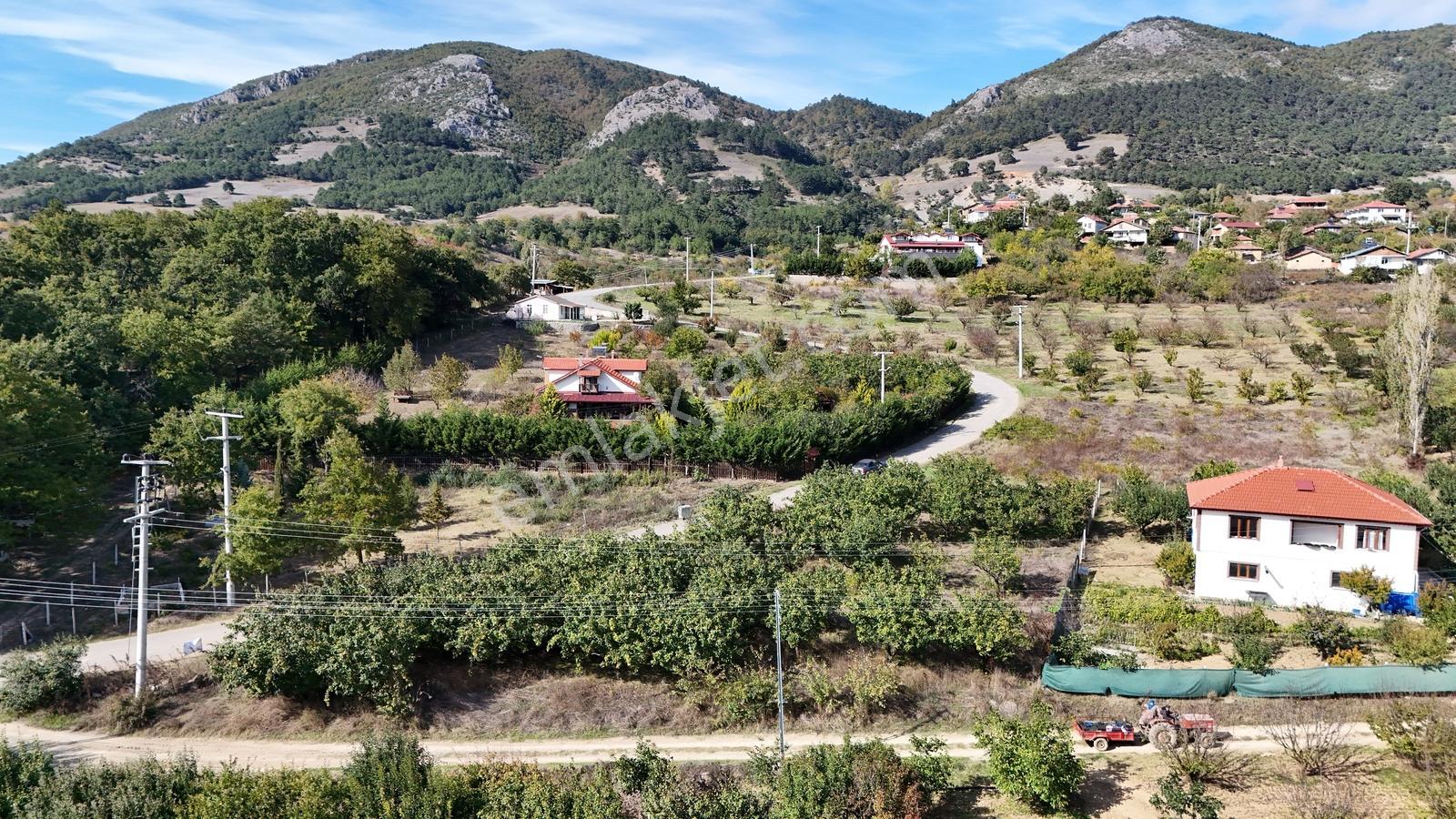 Geyve Çine Mahallesinde Asfalt Kenarı Fırsat — fotoğraf 4