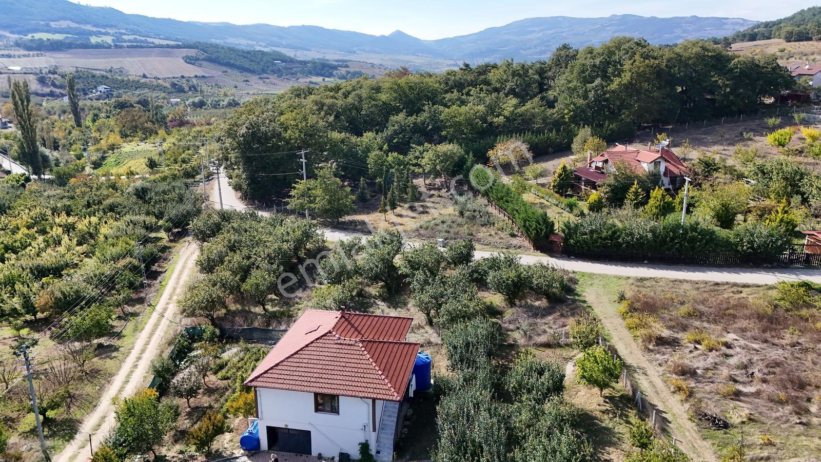 Geyve Çine Mahallesinde Asfalt Kenarı Fırsat — fotoğraf 6